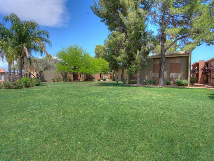 Exterior & Landscaping at Copper Creek in Tucson, AZ
